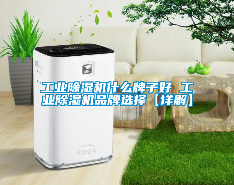 工業(yè)除濕機什么牌子好 工業(yè)除濕機品牌選擇【詳解】