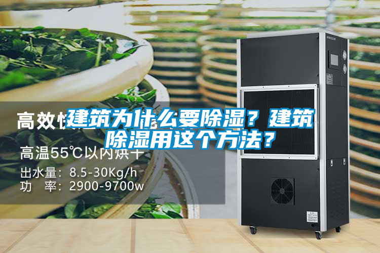 建筑為什么要除濕？建筑除濕用這個(gè)方法？