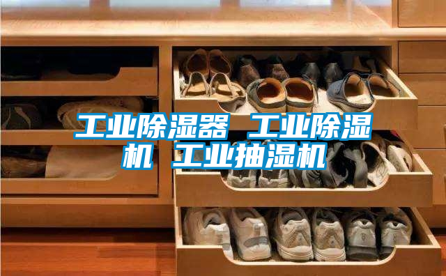 工業(yè)除濕器 工業(yè)除濕機(jī) 工業(yè)抽濕機(jī)