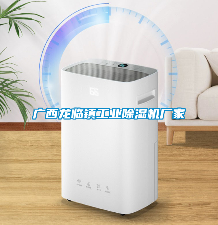 廣西龍臨鎮(zhèn)工業(yè)除濕機廠家