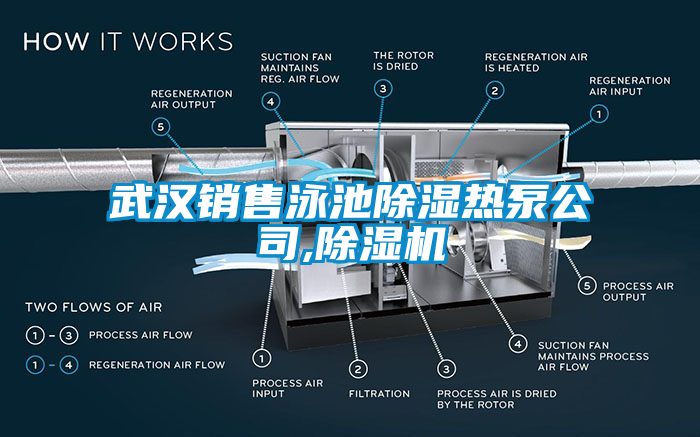 武漢銷(xiāo)售泳池除濕熱泵公司,除濕機(jī)