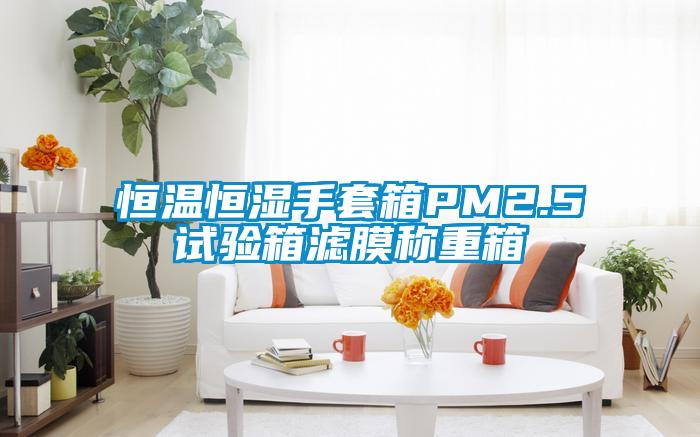 恒溫恒濕手套箱PM2.5試驗(yàn)箱濾膜稱(chēng)重箱