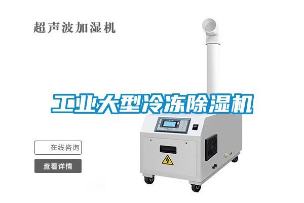 工業(yè)大型冷凍除濕機(jī)