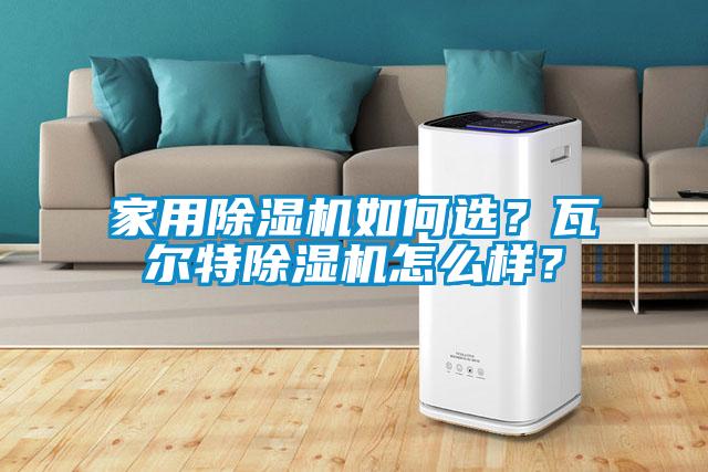 家用除濕機如何選？瓦爾特除濕機怎么樣？