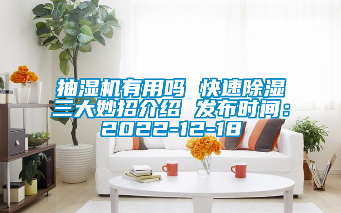 抽濕機有用嗎 快速除濕三大妙招介紹 發(fā)布時間：2022-12-18