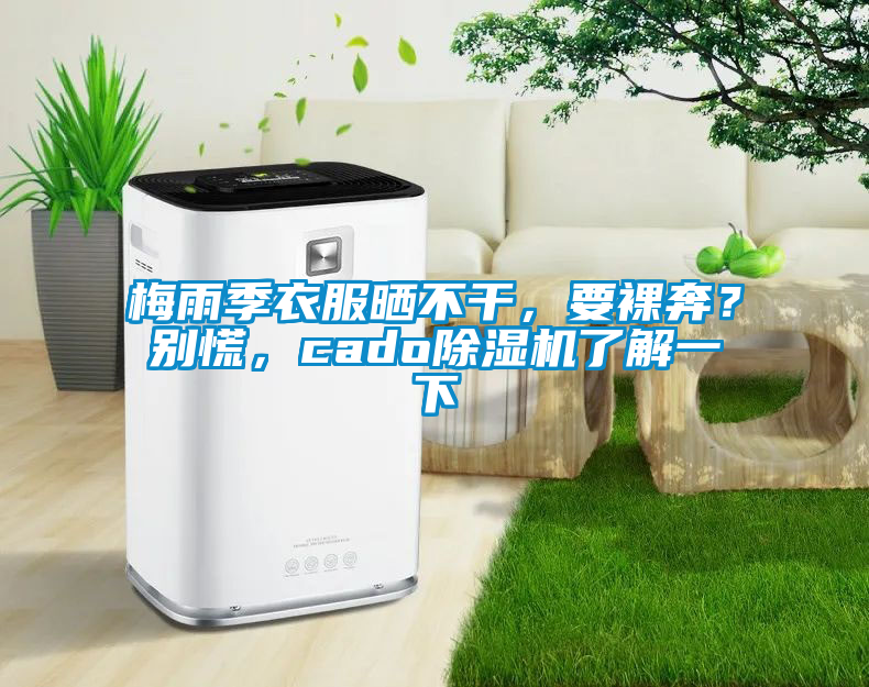 梅雨季衣服曬不干，要裸奔？別慌，cado除濕機(jī)了解一下