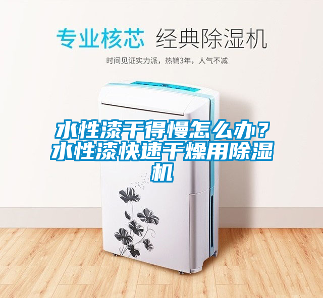 水性漆干得慢怎么辦？水性漆快速干燥用除濕機(jī)