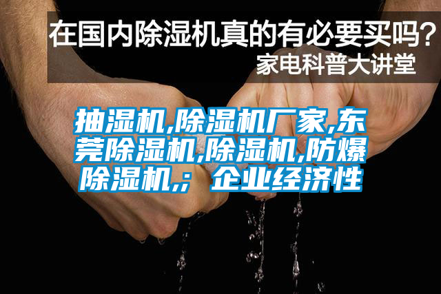 抽濕機,除濕機廠家,東莞除濕機,除濕機,防爆除濕機,; 企業(yè)經(jīng)濟性