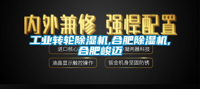 工業(yè)轉輪除濕機,合肥除濕機,合肥峻邁