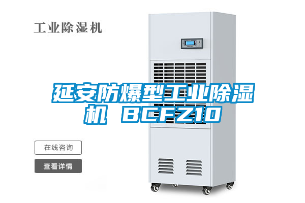 延安防爆型工業(yè)除濕機 BCFZ10