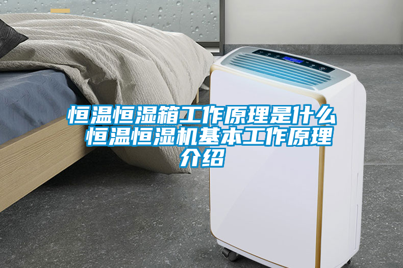 恒溫恒濕箱工作原理是什么 恒溫恒濕機基本工作原理介紹