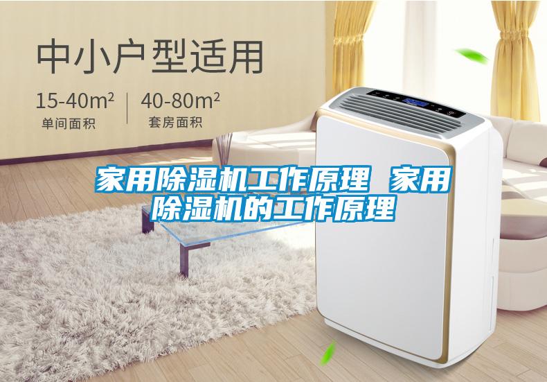 家用除濕機工作原理 家用除濕機的工作原理