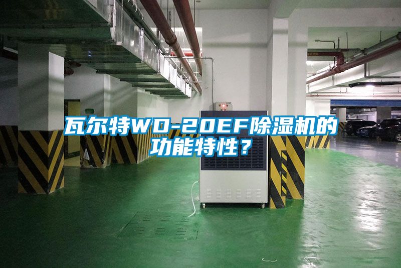 瓦爾特WD-20EF除濕機(jī)的功能特性？