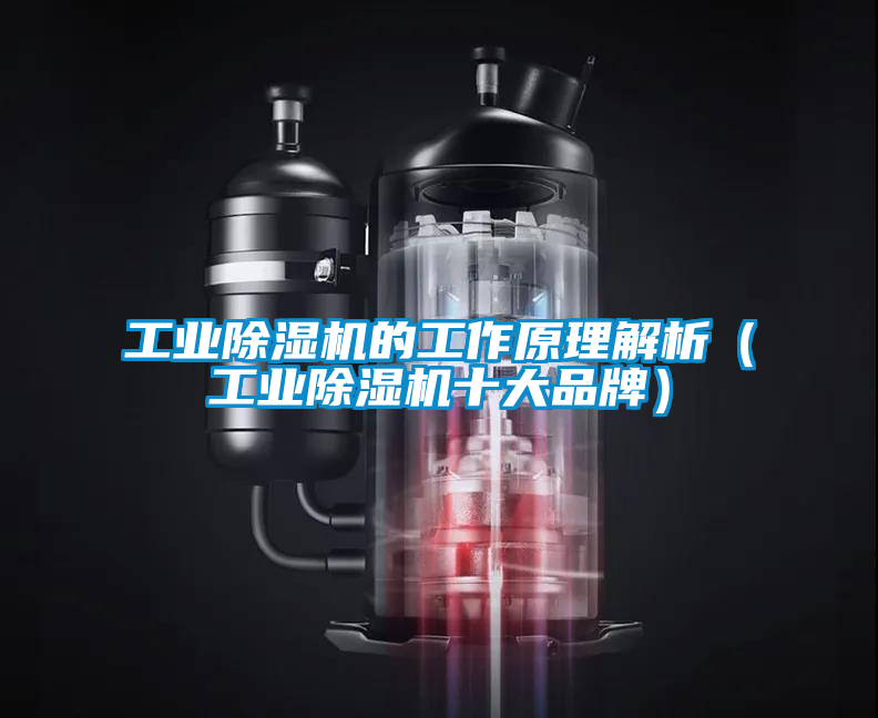 工業(yè)除濕機(jī)的工作原理解析（工業(yè)除濕機(jī)十大品牌）