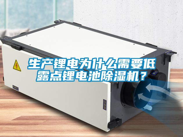 生產(chǎn)鋰電為什么需要低露點鋰電池除濕機？