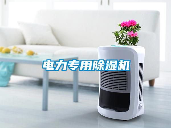 電力專用除濕機(jī)