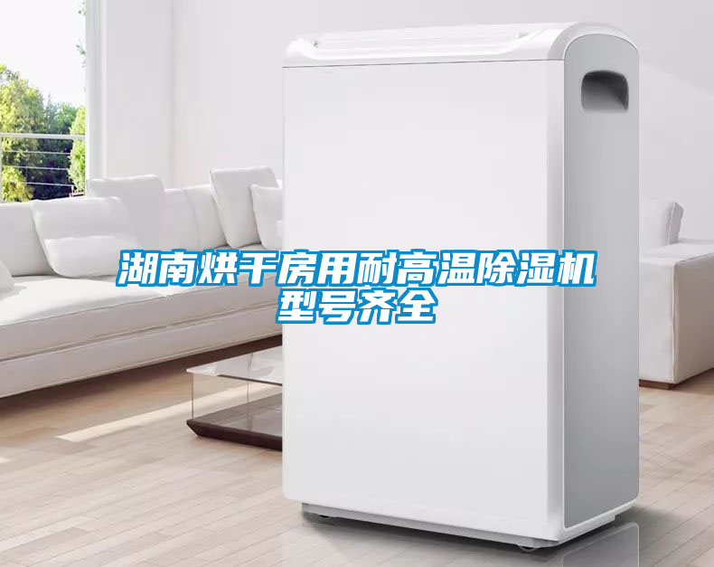 湖南烘干房用耐高溫除濕機型號齊全