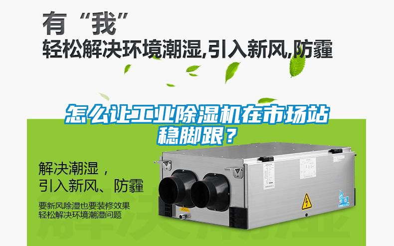 怎么讓工業(yè)除濕機在市場站穩(wěn)腳跟？