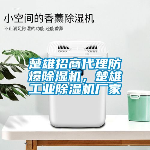 楚雄招商代理防爆除濕機(jī)，楚雄工業(yè)除濕機(jī)廠家