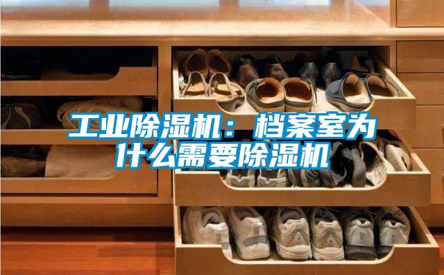 工業(yè)除濕機：檔案室為什么需要除濕機