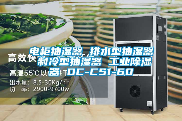 電柜抽濕器 排水型抽濕器 制冷型抽濕器 工業(yè)除濕器 DC-CS1-60