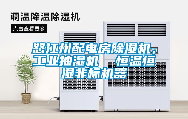 怒江州配電房除濕機(jī)，工業(yè)抽濕機(jī)  恒溫恒濕非標(biāo)機(jī)器