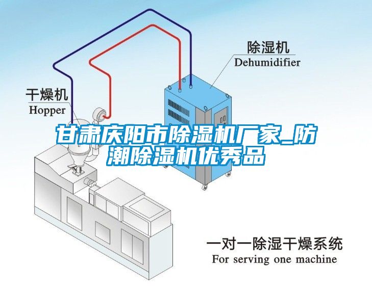 甘肅慶陽市除濕機廠家_防潮除濕機優(yōu)秀品