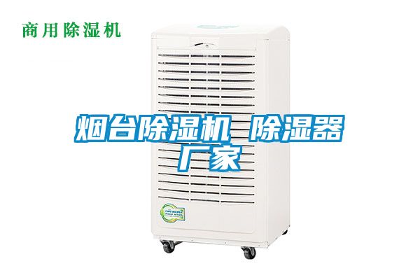 煙臺除濕機(jī) 除濕器廠家