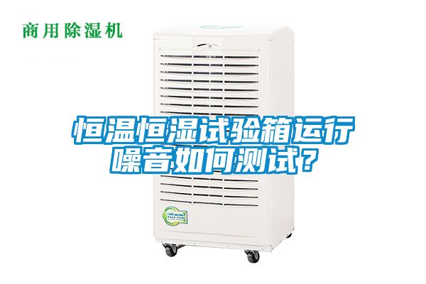 恒溫恒濕試驗箱運行噪音如何測試？