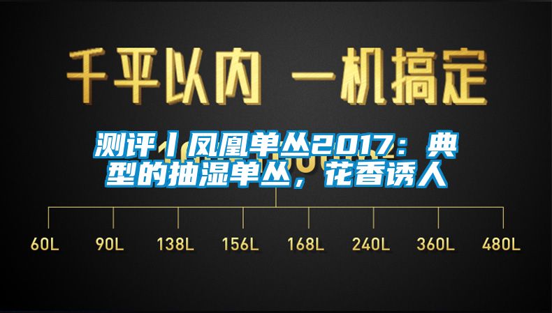 測評丨鳳凰單叢2017：典型的抽濕單叢，花香誘人