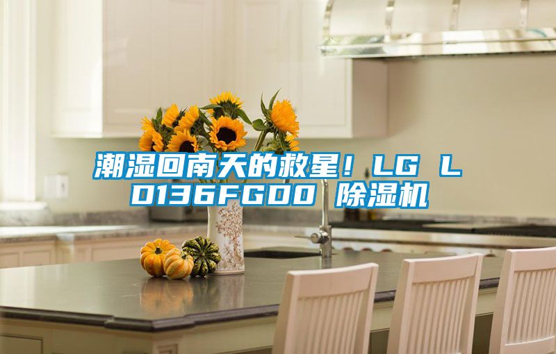 潮濕回南天的救星！LG LD136FGD0 除濕機