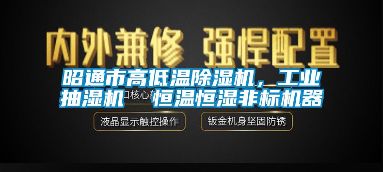 昭通市高低溫除濕機(jī)，工業(yè)抽濕機(jī)  恒溫恒濕非標(biāo)機(jī)器