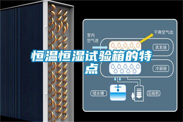 恒溫恒濕試驗(yàn)箱的特點(diǎn)