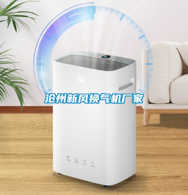 滄州新風(fēng)換氣機廠家