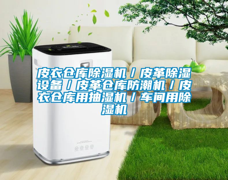 皮衣倉庫除濕機／皮革除濕設(shè)備／皮革倉庫防潮機／皮衣倉庫用抽濕機／車間用除濕機