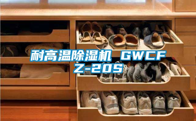 耐高溫除濕機 GWCFZ-20S