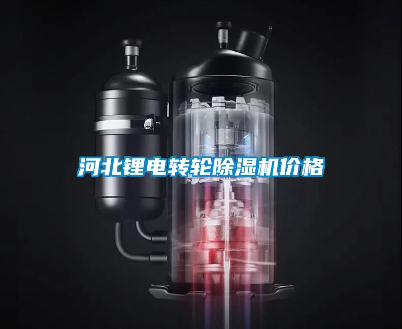 河北鋰電轉(zhuǎn)輪除濕機價格