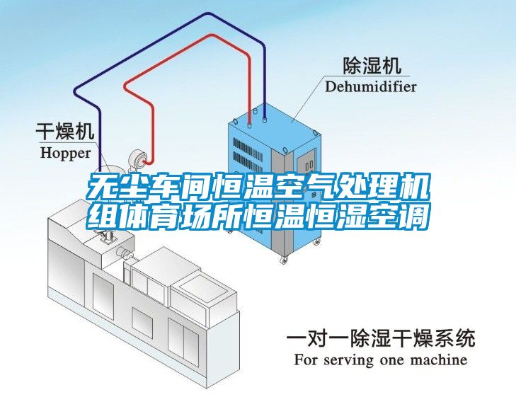 無塵車間恒溫空氣處理機(jī)組體育場(chǎng)所恒溫恒濕空調(diào)