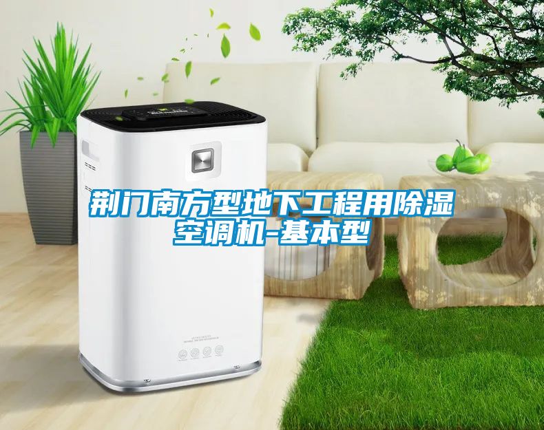 荊門南方型地下工程用除濕空調(diào)機(jī)-基本型