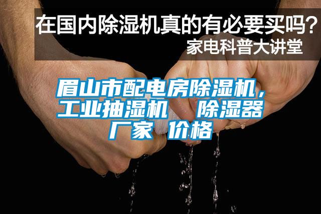 眉山市配電房除濕機，工業(yè)抽濕機  除濕器廠家 價格