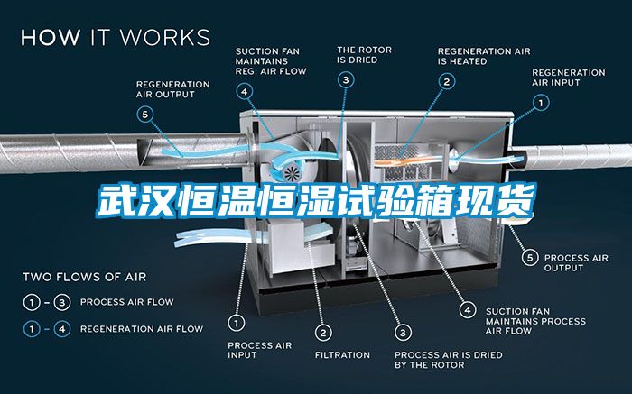 武漢恒溫恒濕試驗箱現(xiàn)貨