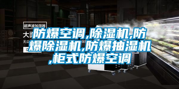 防爆空調(diào),除濕機,防爆除濕機,防爆抽濕機,柜式防爆空調(diào)