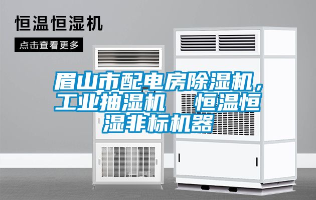 眉山市配電房除濕機，工業(yè)抽濕機  恒溫恒濕非標機器