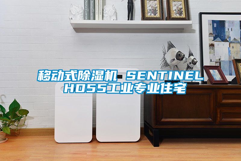 移動(dòng)式除濕機(jī) SENTINEL HD55工業(yè)專業(yè)住宅