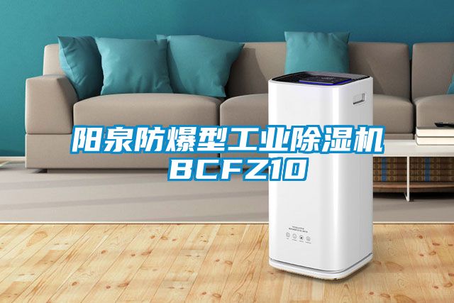 陽泉防爆型工業(yè)除濕機 BCFZ10