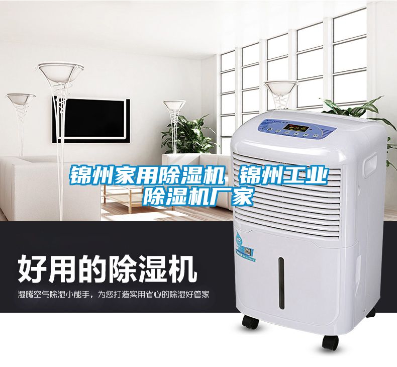 錦州家用除濕機 錦州工業(yè)除濕機廠家