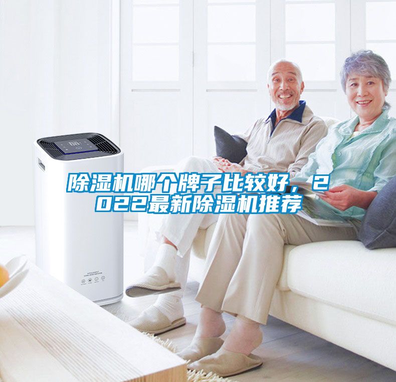 除濕機哪個牌子比較好，2022最新除濕機推薦