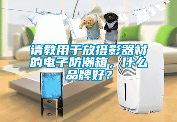 請教用于放攝影器材的電子防潮箱，什么品牌好？