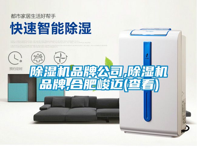 除濕機品牌公司,除濕機品牌,合肥峻邁(查看)