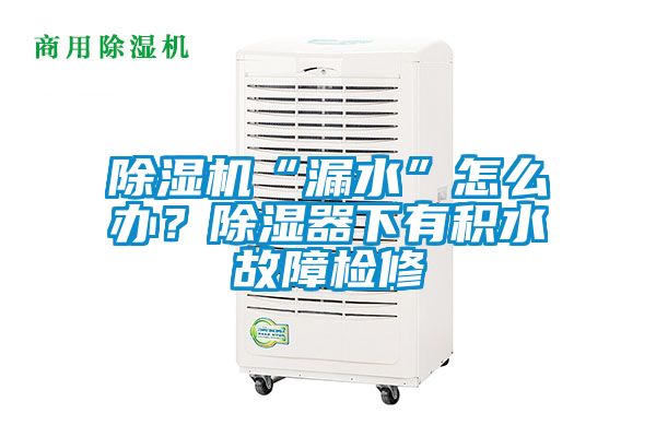 除濕機(jī)“漏水”怎么辦？除濕器下有積水故障檢修